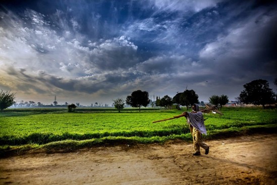 İnsan Yapımı Yasalar Pakistan’ın Tarımsal Potansiyeli Önünde Engel
